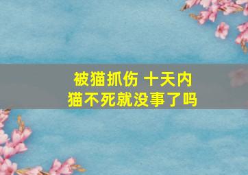 被猫抓伤 十天内猫不死就没事了吗